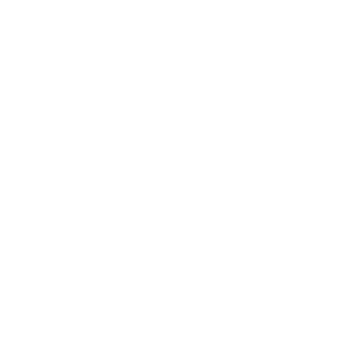 Amorce Kinésiologie